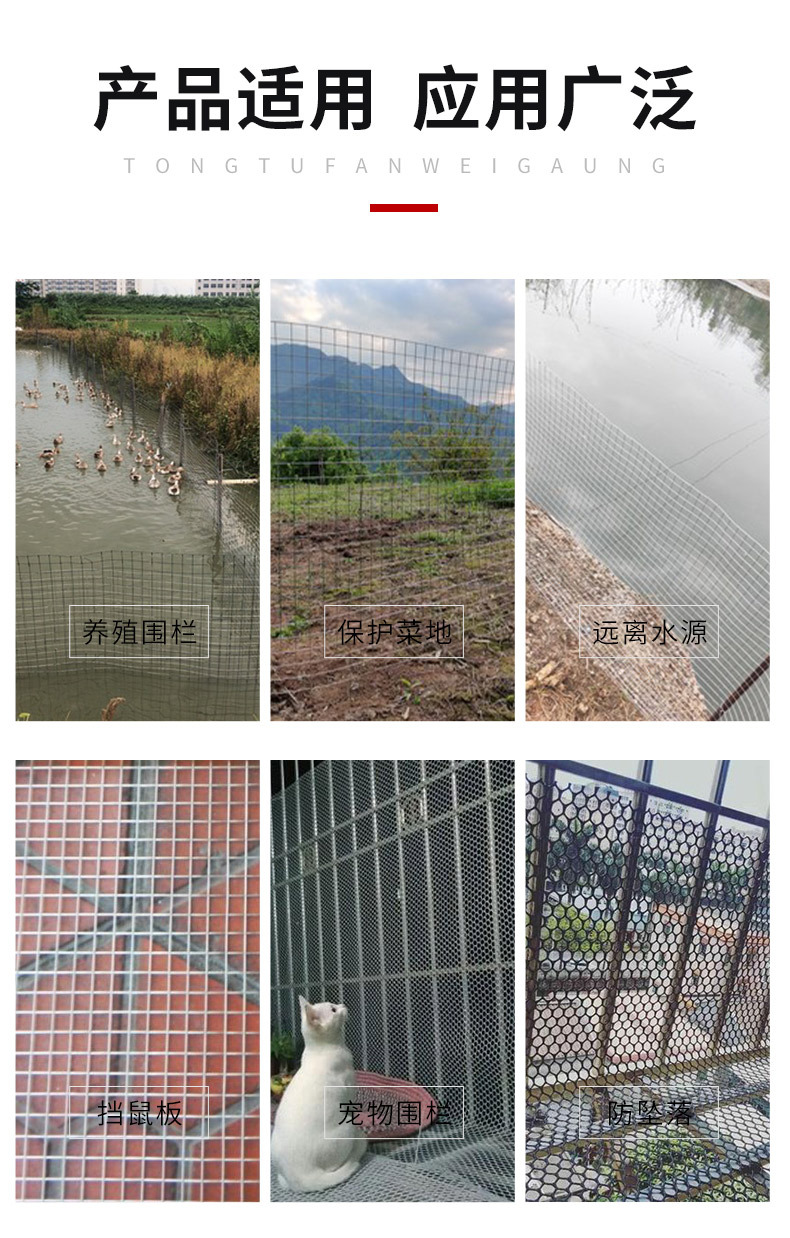 不锈钢电焊网详情_13