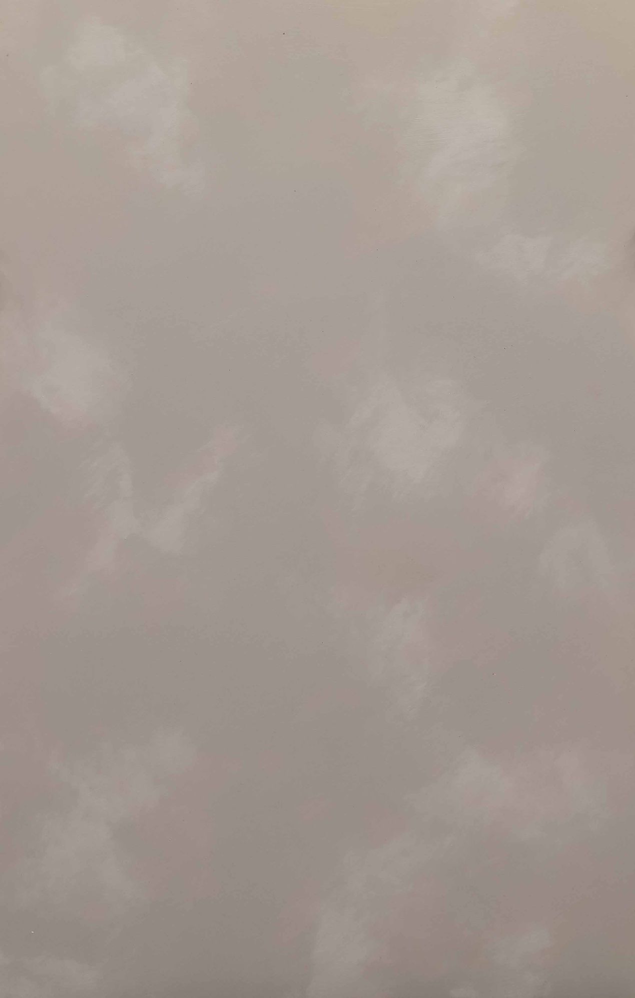 铂芙丝绒系列艺术涂料详情4