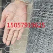 缩略图 5