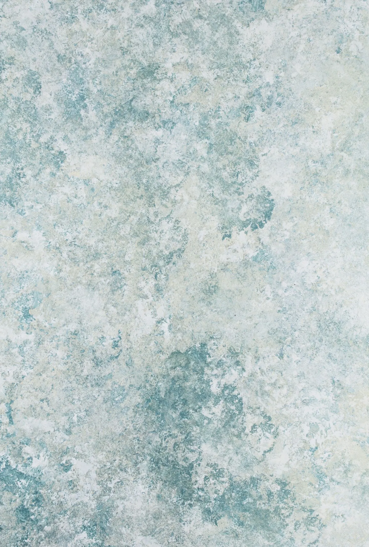 主图 1