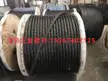 缩略图 6