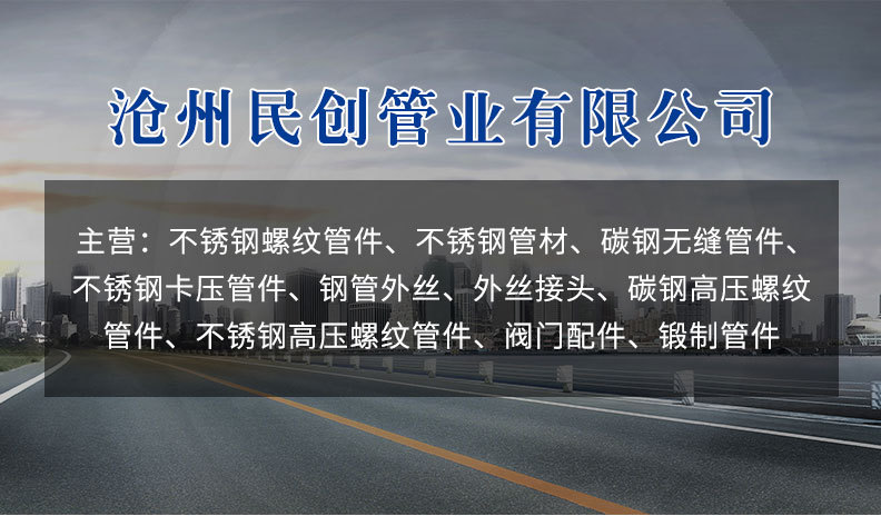 BS3799高压管接头3000级6000级1/8“-3”外丝接头详情1