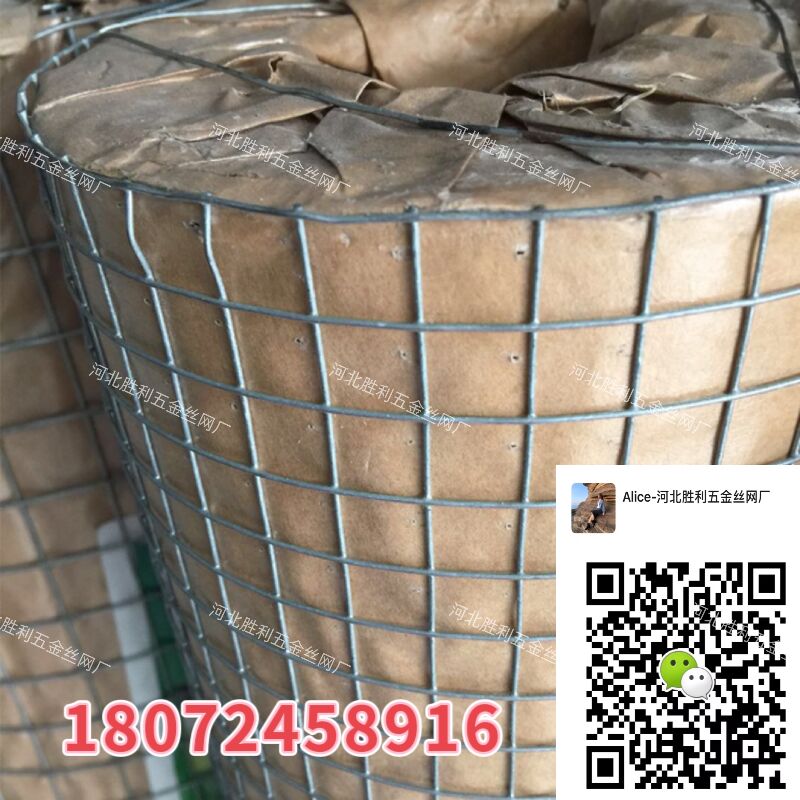 电焊网 涂塑电焊网 镀锌电焊网 电焊网片 护栏 围网 1/2'' 3/4'' 1'' 玉米围网详情5