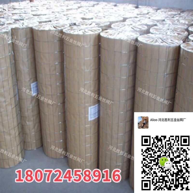 电焊网 涂塑电焊网 镀锌电焊网 电焊网片 护栏 围网 1/2'' 3/4'' 1'' 玉米围网详情6