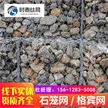 缩略图 5