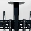 缩略图 5