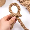 缩略图 3