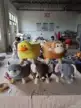 缩略图 8