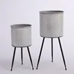 缩略图 1