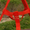 缩略图 2
