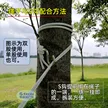 缩略图 2