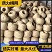 缩略图 2