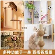 缩略图 2