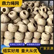 缩略图 1