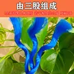 缩略图 2