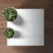 缩略图 3