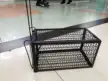 缩略图 2
