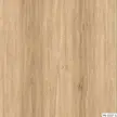 缩略图 4