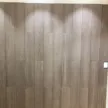 缩略图 1