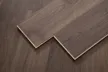 缩略图 5