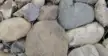 缩略图 2