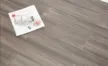 缩略图 1