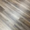 缩略图 3