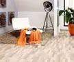 缩略图 2
