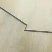 缩略图 1