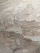 缩略图 1
