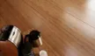 缩略图 1