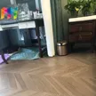缩略图 2