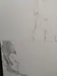 缩略图 1