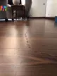 缩略图 2