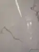 缩略图 1