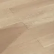 缩略图 3