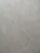 缩略图 1