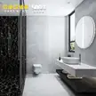 缩略图 2