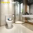 缩略图 1