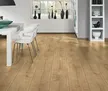 缩略图 8