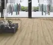 缩略图 3