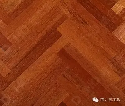 主图 1