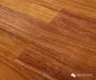 缩略图 6