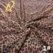 缩略图 5