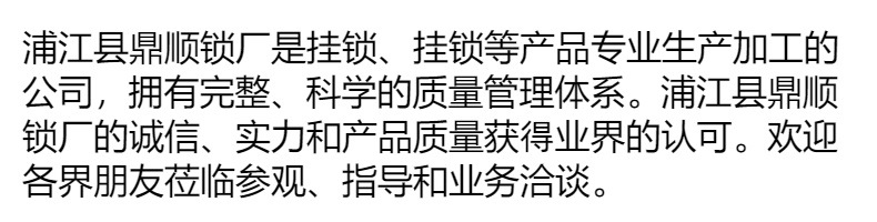 厂家直销仿铜挂锁单开锁宿舍抽屉锁批发锁具黄铜挂锁防盗小锁详情11