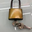 缩略图 3