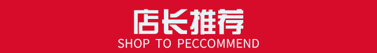 厂家直供太阳能控制器 10a20a30a60a路灯智能系统充电控制器 爆款详情1