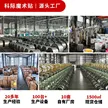 缩略图 1