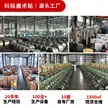 缩略图 3