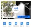 缩略图 5